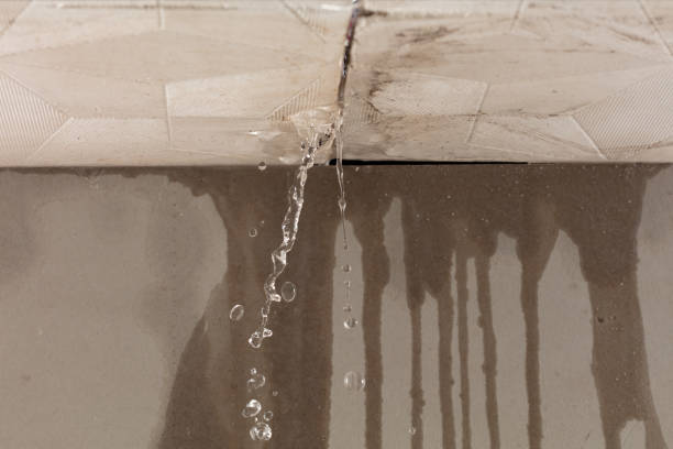 Professional Water Damage Repair technician working in Flora, MS